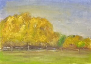 “Golden Autumn on Hooper Creek, NE”