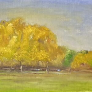 “Golden Autumn on Hooper Creek, NE”